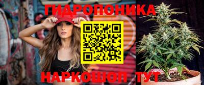 a pvp Донской