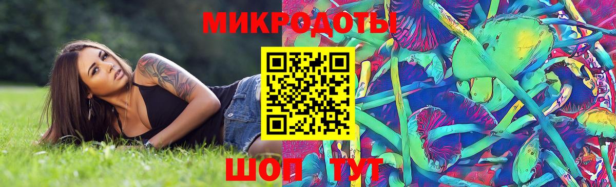 Псилоцибиновые грибы Psilocybine cubensis Миасс